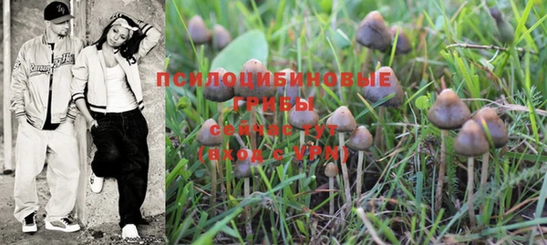 индика Абинск