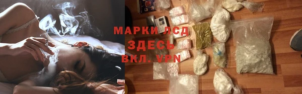 индика Абинск