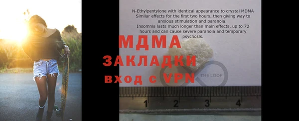 прущие грибы Ельня