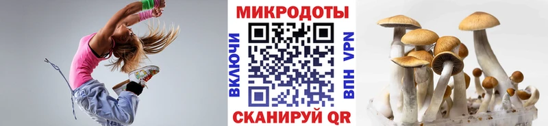 маркетплейс какой сайт  Каргополь  Галлюциногенные грибы мицелий 